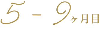 ５－９か月目